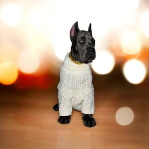 Meet your Posher, Shaun